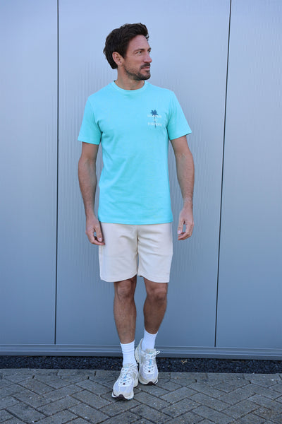 744 - Pool Blue