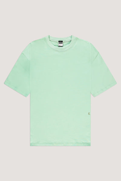 764 - Birds Egg Green