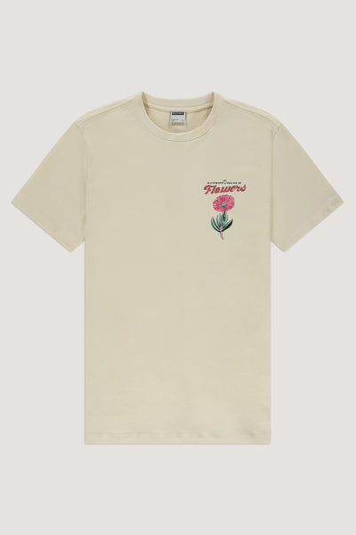 297 - Bone White