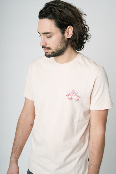 455 - Peach Whip