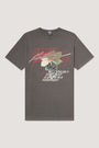 Tshirt Comfort Grapes rk-gull-gray